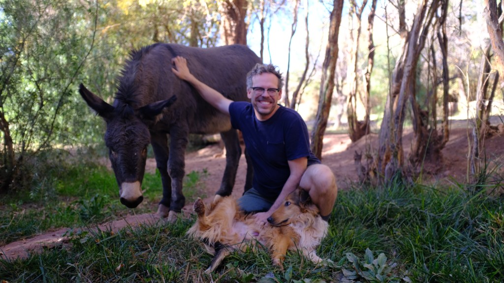 Mr. Josh with Elvis the donkey and a collie dog on a llama farm in the Atacama desert, Chile.